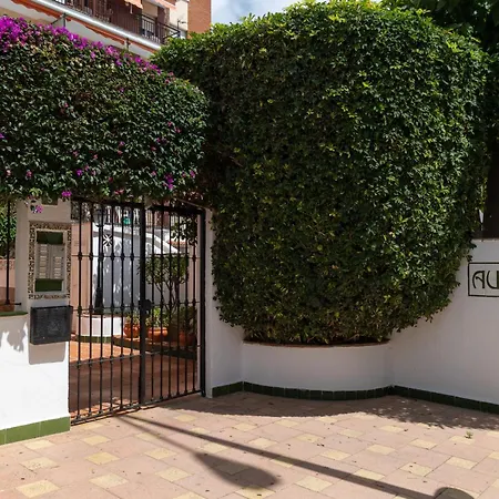 Isidoro * Fuengirola